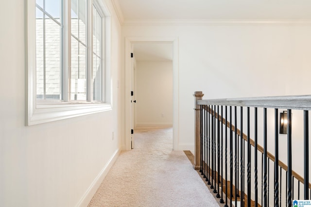 hallway with crown molding and light carpet