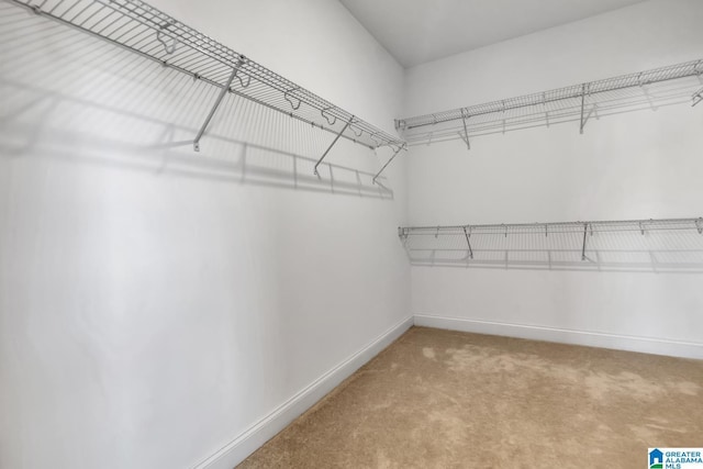 1114 Eagle Nest Cir, Birmingham, AL 35242 - walk in closet featuring carpet floors
