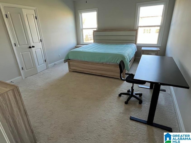 carpeted bedroom with a closet and multiple windows