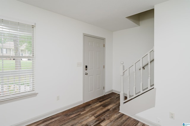 entryway featuring dark hardwood / wood-style flooring