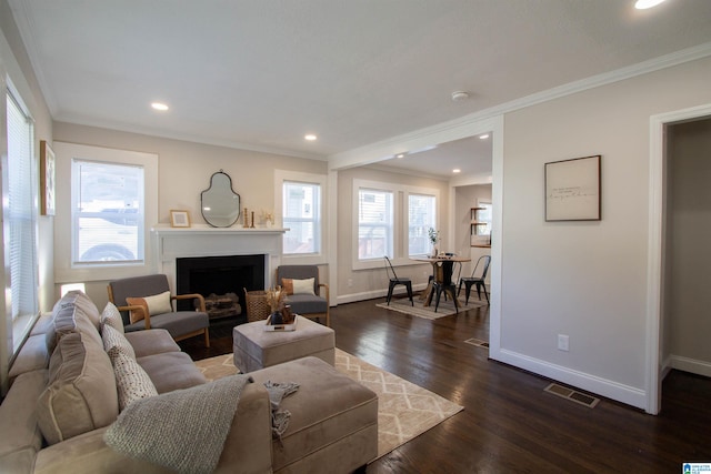 living room with crown molding and dark wood-type flooring