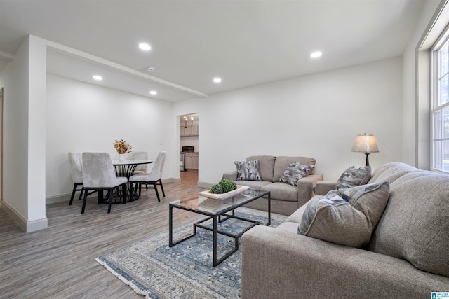 living room featuring light hardwood / wood-style flooring