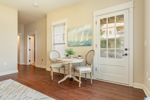 interior space with a wealth of natural light and dark wood-type flooring