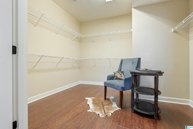 spacious closet with dark wood-type flooring