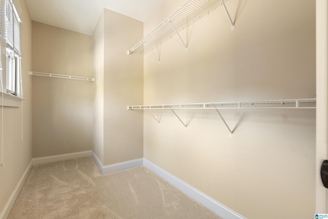 spacious closet with carpet flooring