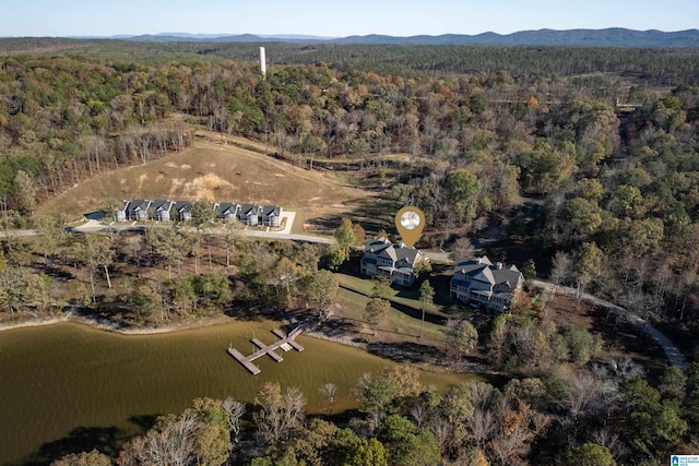 drone / aerial view featuring a water and mountain view