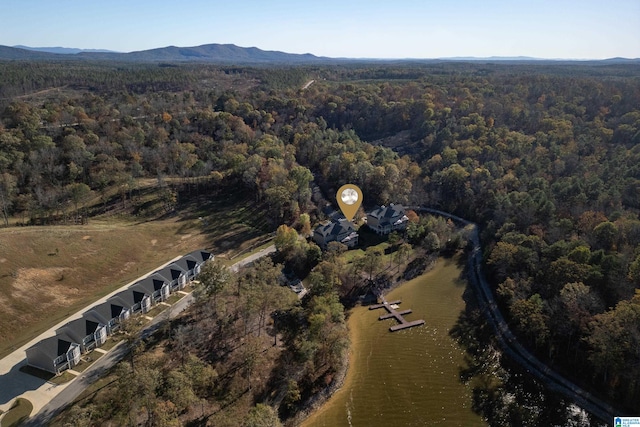 aerial view with a water and mountain view