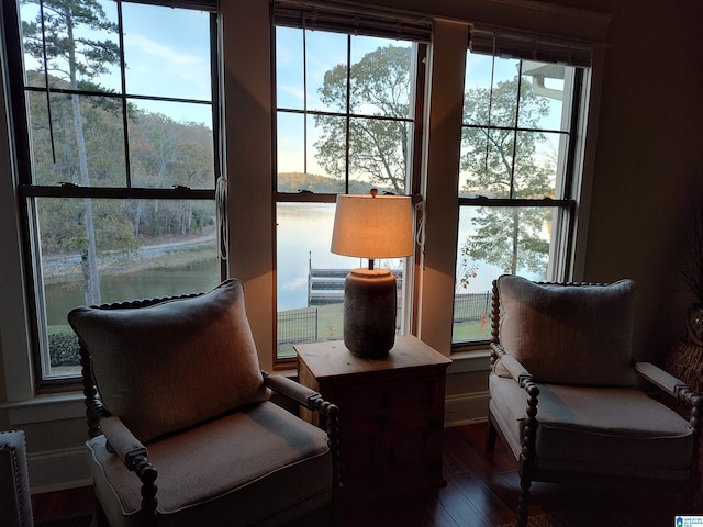 living area with a water view and dark hardwood / wood-style floors