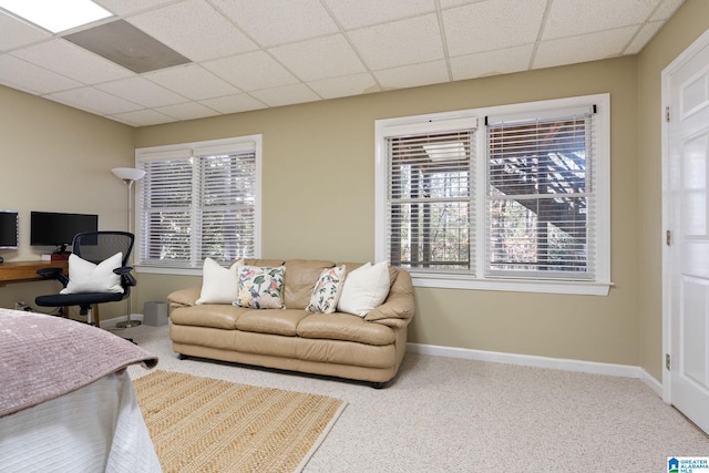 carpeted living room featuring a paneled ceiling