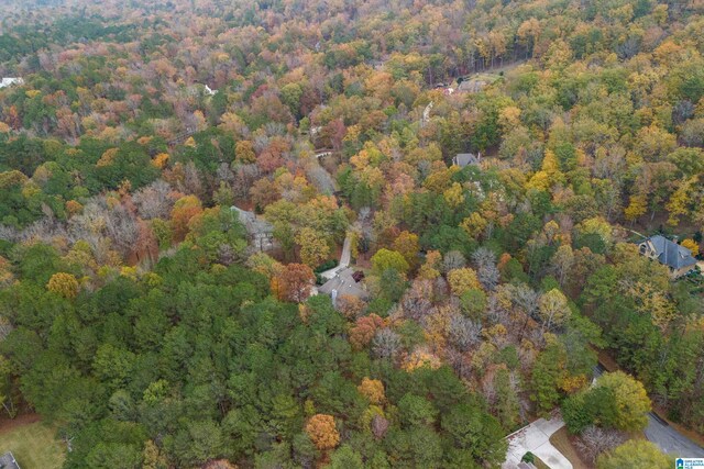 bird's eye view