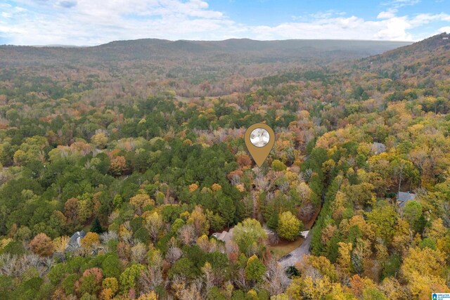 aerial view with a mountain view