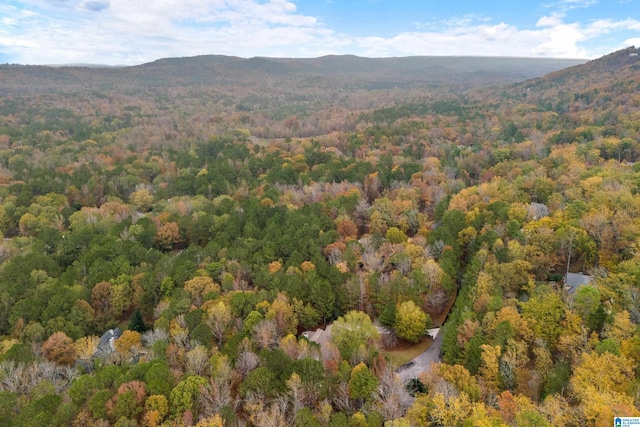 birds eye view of property featuring a mountain view