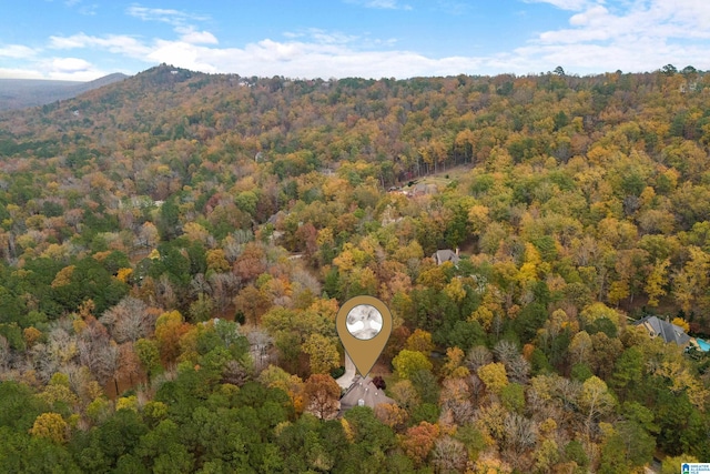 aerial view with a mountain view