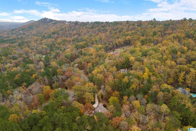 view of mountain feature