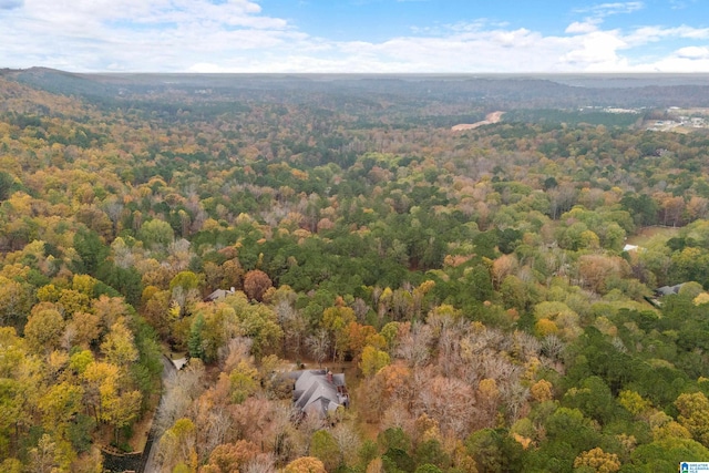 aerial view