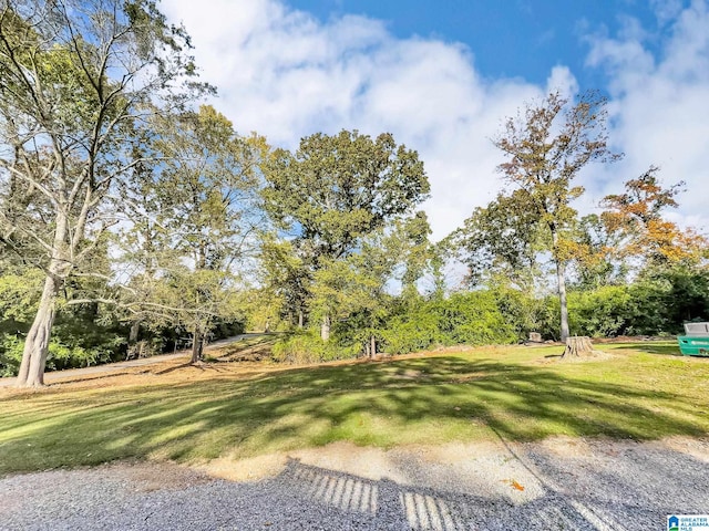 view of home's community featuring a lawn