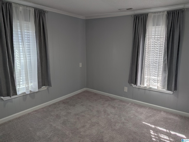 carpeted spare room featuring a healthy amount of sunlight, a textured ceiling, and ornamental molding