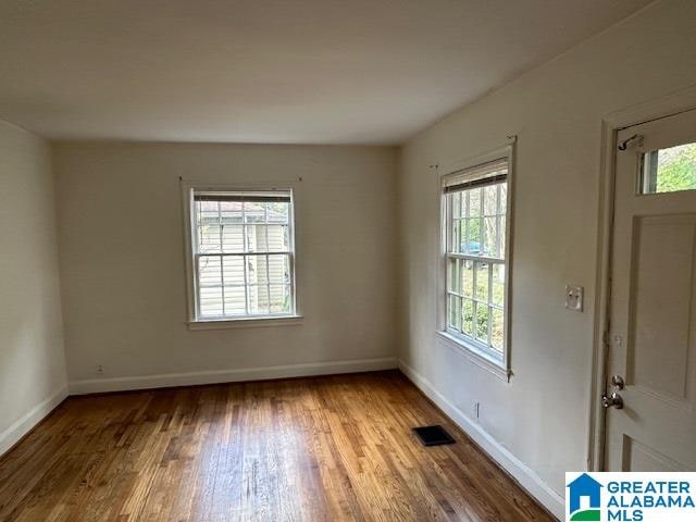 entryway featuring hardwood / wood-style flooring and plenty of natural light