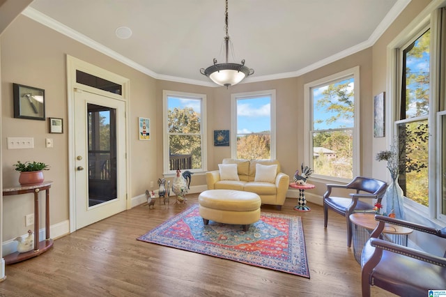 living area featuring hardwood / wood-style floors and ornamental molding