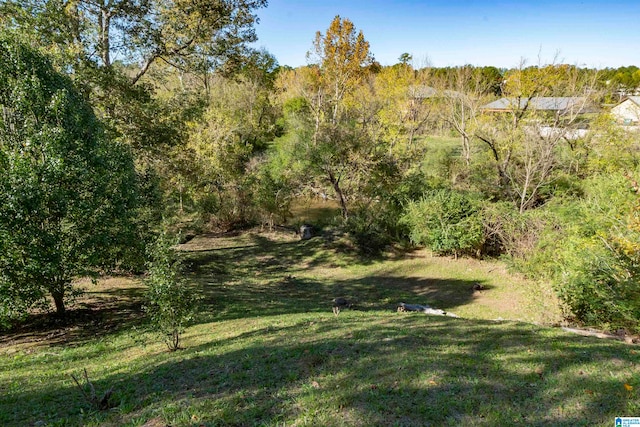 view of local wilderness