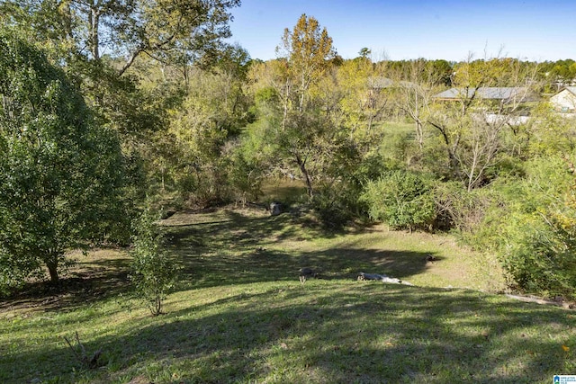 2399 Huntington Glen Dr, Homewood, AL 35226 - view of green lawn featuring a view of trees