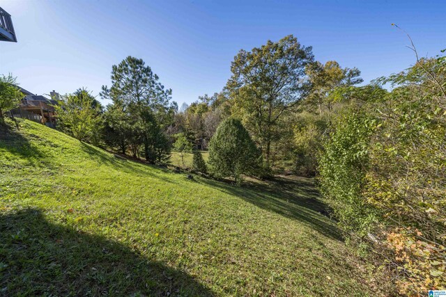 2399 Huntington Glen Dr, Homewood, AL 35226 - view of grassy yard