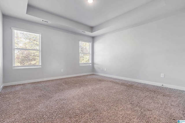 unfurnished room featuring carpet and a raised ceiling