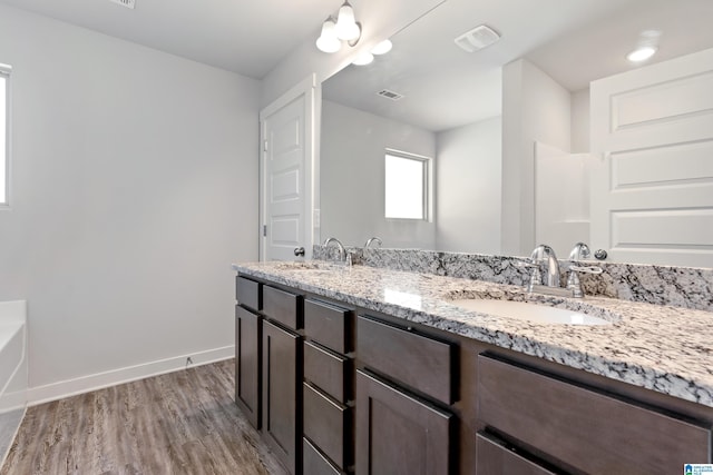 bathroom with wood-type flooring and vanity