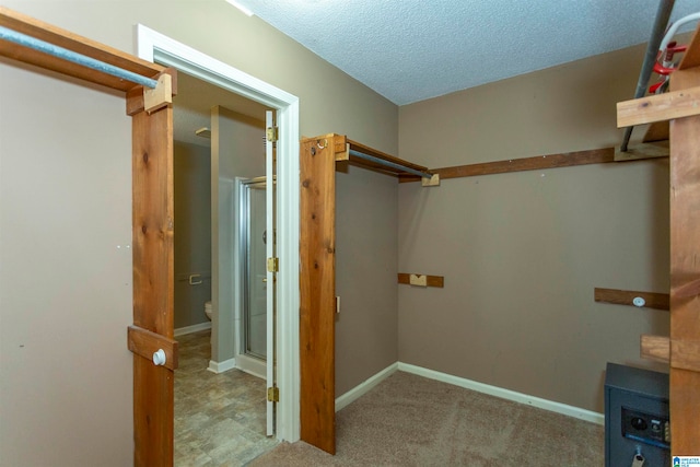 walk in closet with light colored carpet