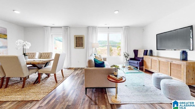 living room with dark hardwood / wood-style floors