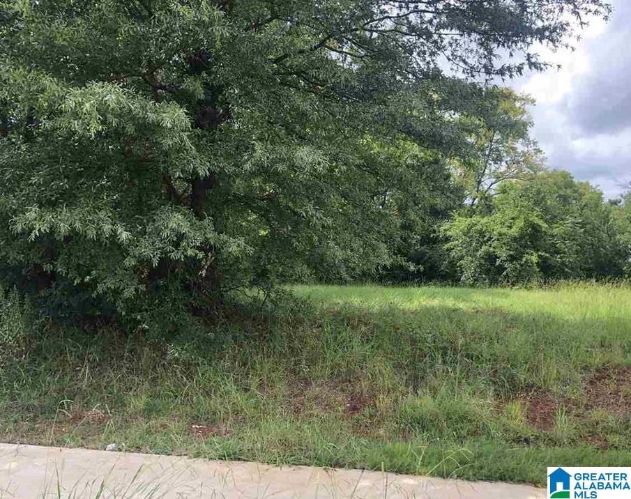 2820 Arlington Ave Unit 4, Bessemer, AL 35020