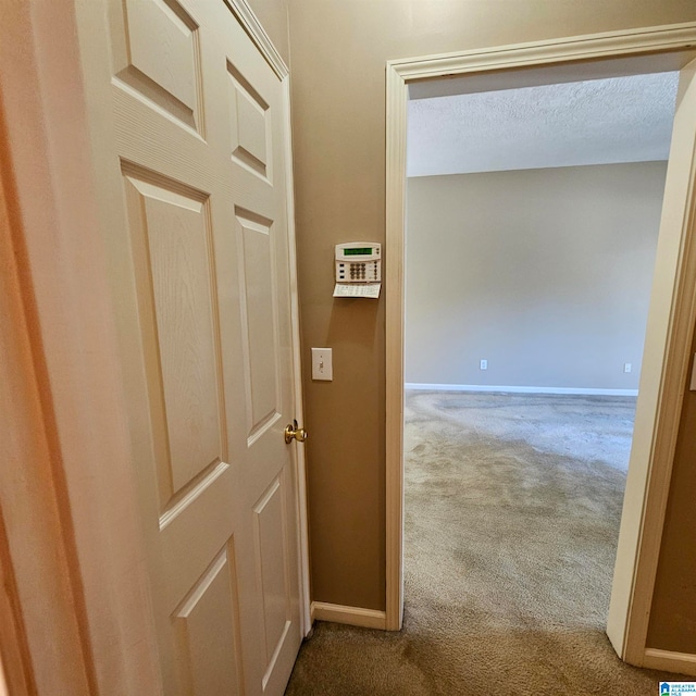 hallway with carpet floors and a textured ceiling