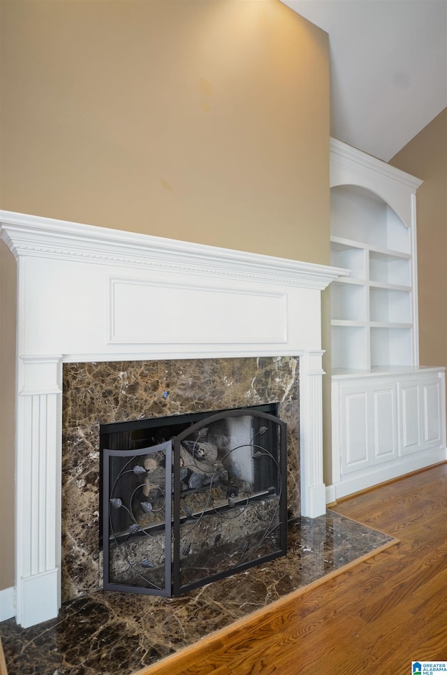 room details featuring a premium fireplace, built in features, and wood-type flooring