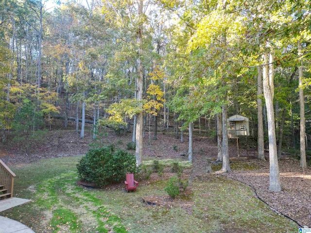 view of yard with a wooden deck