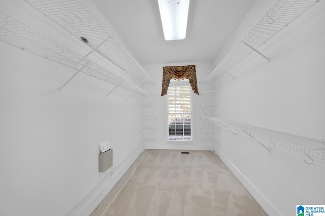 spacious closet with light colored carpet