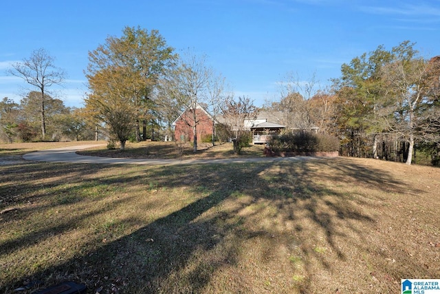 view of yard