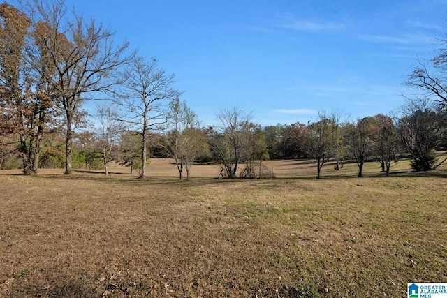 view of yard with a rural view