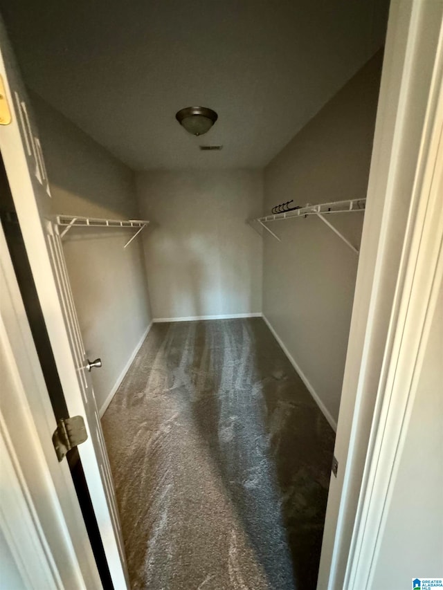 spacious closet featuring carpet flooring