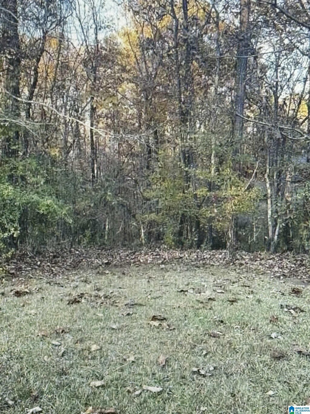 301 Forest Pkwy Unit 81, Alabaster, AL 35007