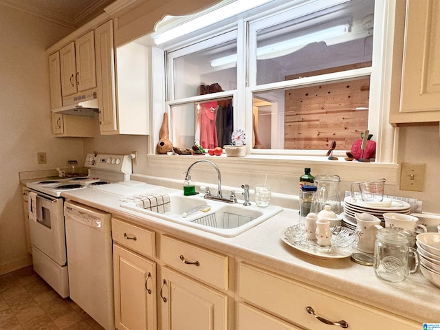 kitchen with crown molding, white appliances, and sink