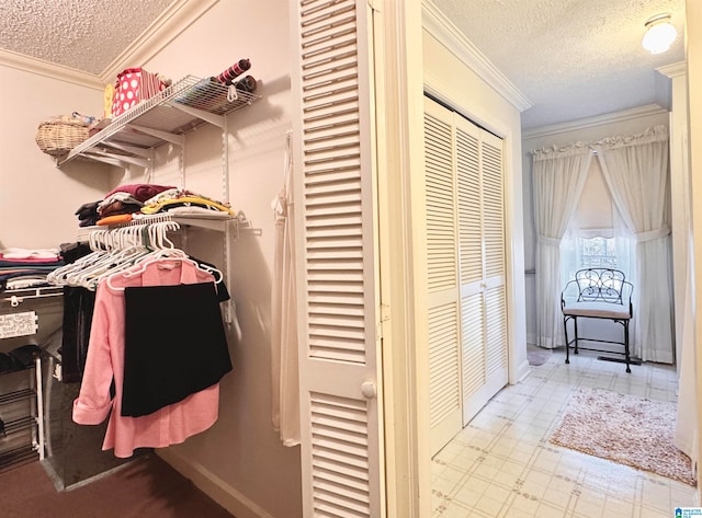 view of walk in closet