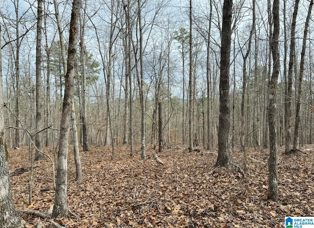 view of local wilderness