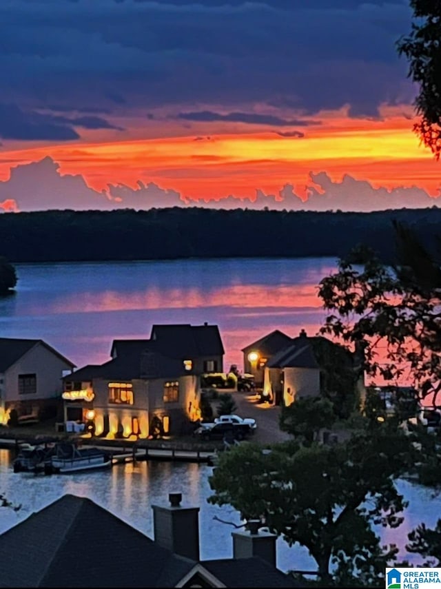 exterior space with a water view and a dock