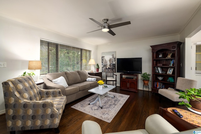 living room with ceiling fan, crown molding, and dark wood-type flooring