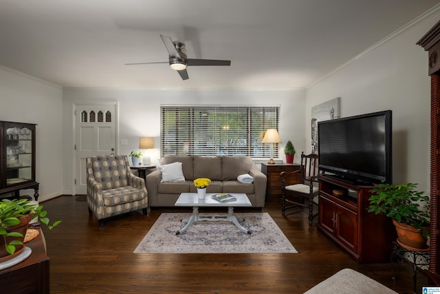 living room with ceiling fan, dark wood-type flooring, and ornamental molding