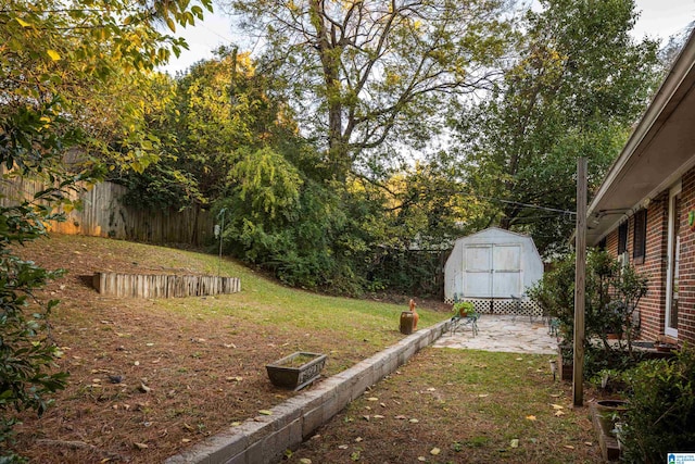 view of yard with a patio area and a storage shed