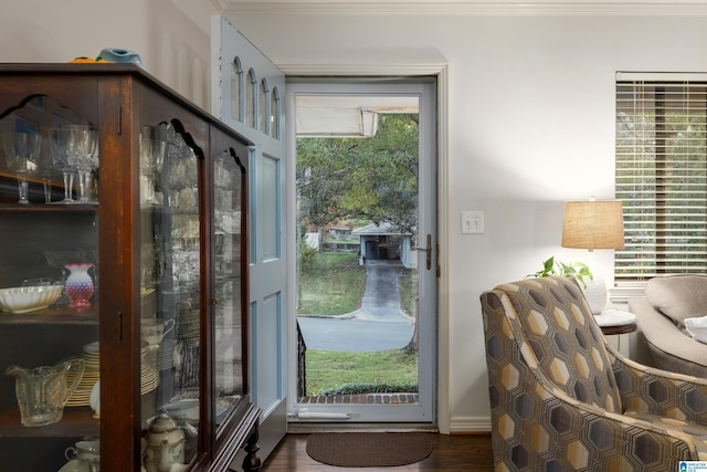 entryway with dark hardwood / wood-style flooring and a healthy amount of sunlight