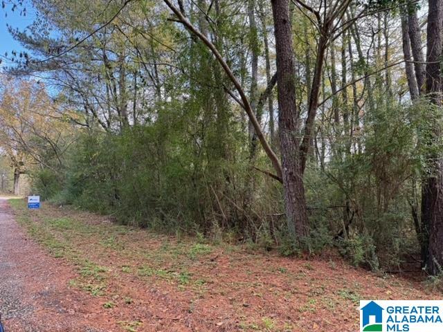 2201 White Post Rd Unit 0, Bessemer AL, 35023 land for sale