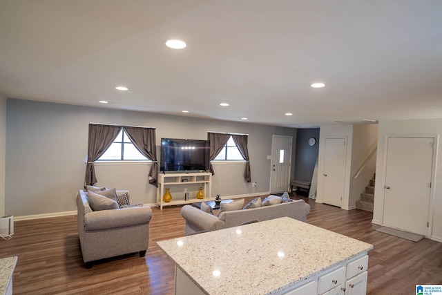 living room with dark hardwood / wood-style flooring and a wealth of natural light