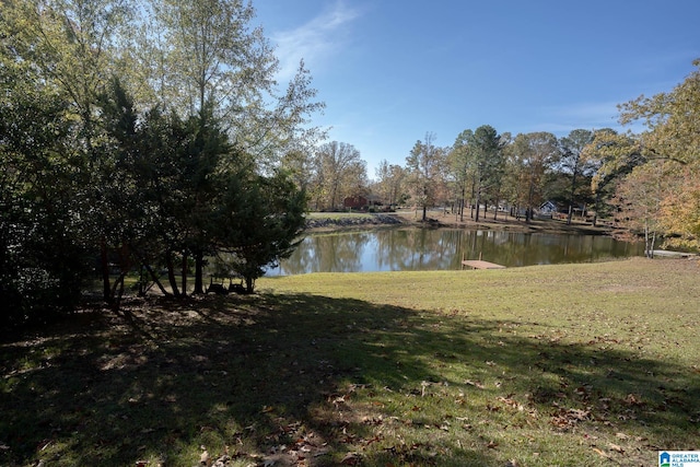 view of water feature